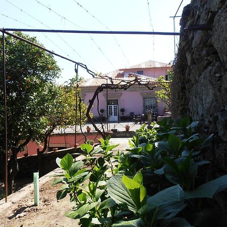 Casa Dos Varais, Manor House ラメゴ エクステリア 写真