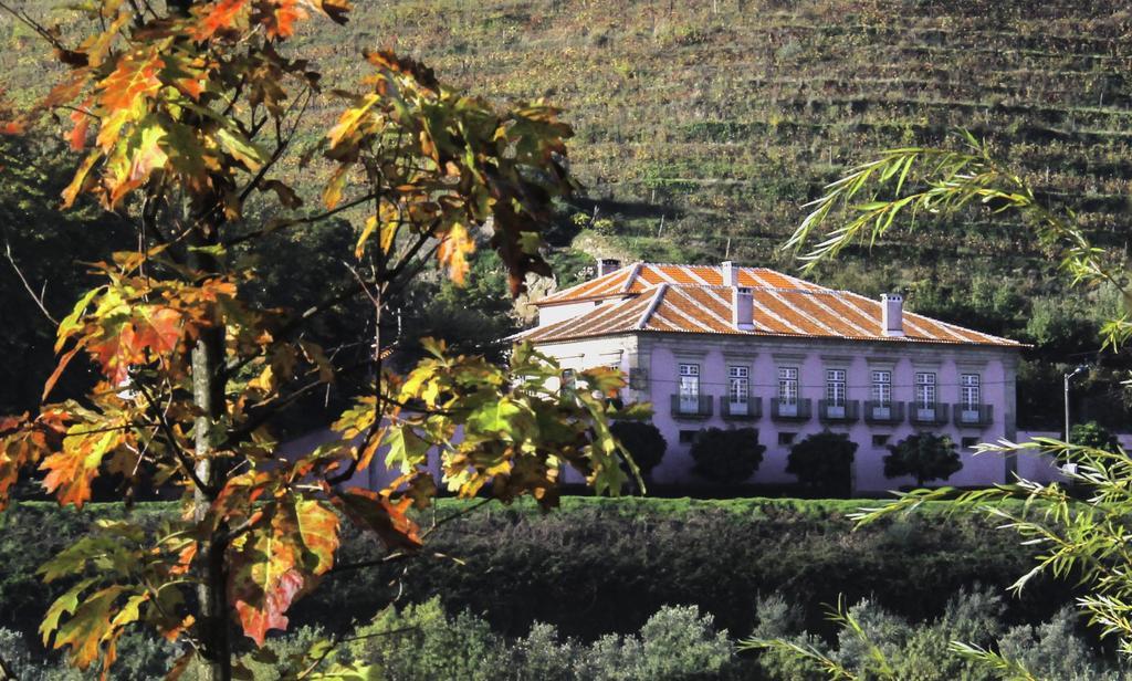 Casa Dos Varais, Manor House ラメゴ エクステリア 写真